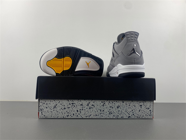 Jordan 4 Retro Cool Grey (2019) 308497-007