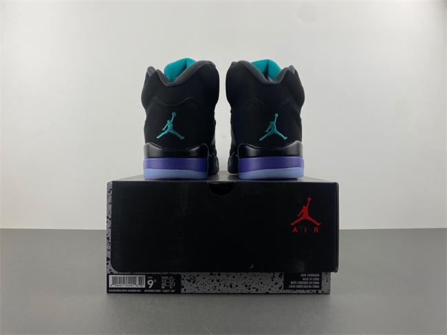Air Jordan 5 Retro Black Grape 36027-007