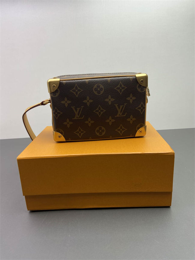 Monogram Mini Soft Trunk
